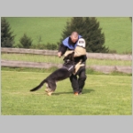 Queen beim bedraengen.JPG